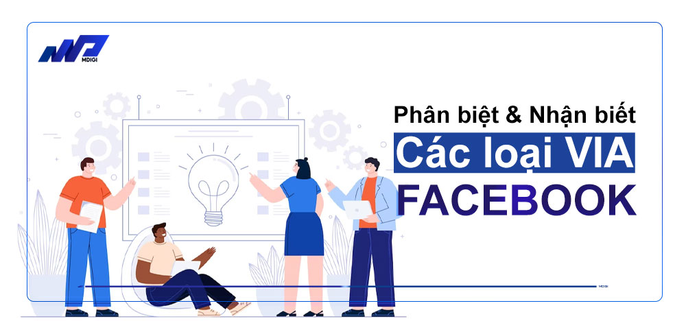 Phan-biet-cac-loai-VIA-Facebook