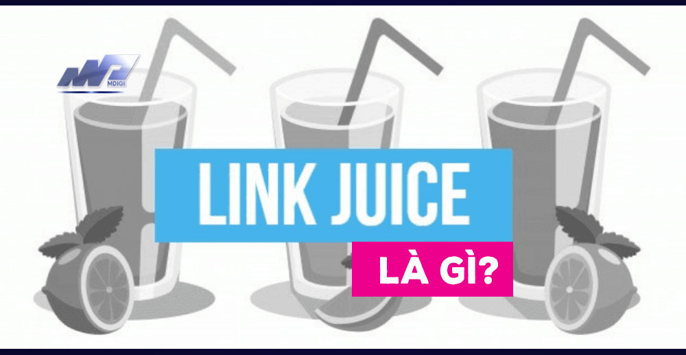 Link-Juice-la-gi