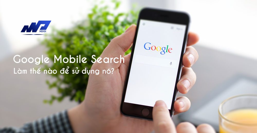 Google-Mobile-Search-la-gi-Lam-the-nao-de-su-dung-no