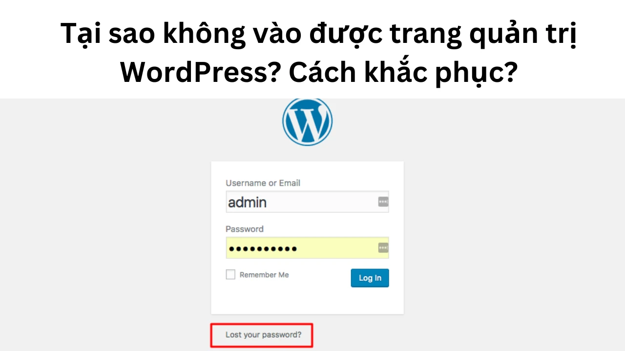 Trang WordPress Login bị vô hiệu