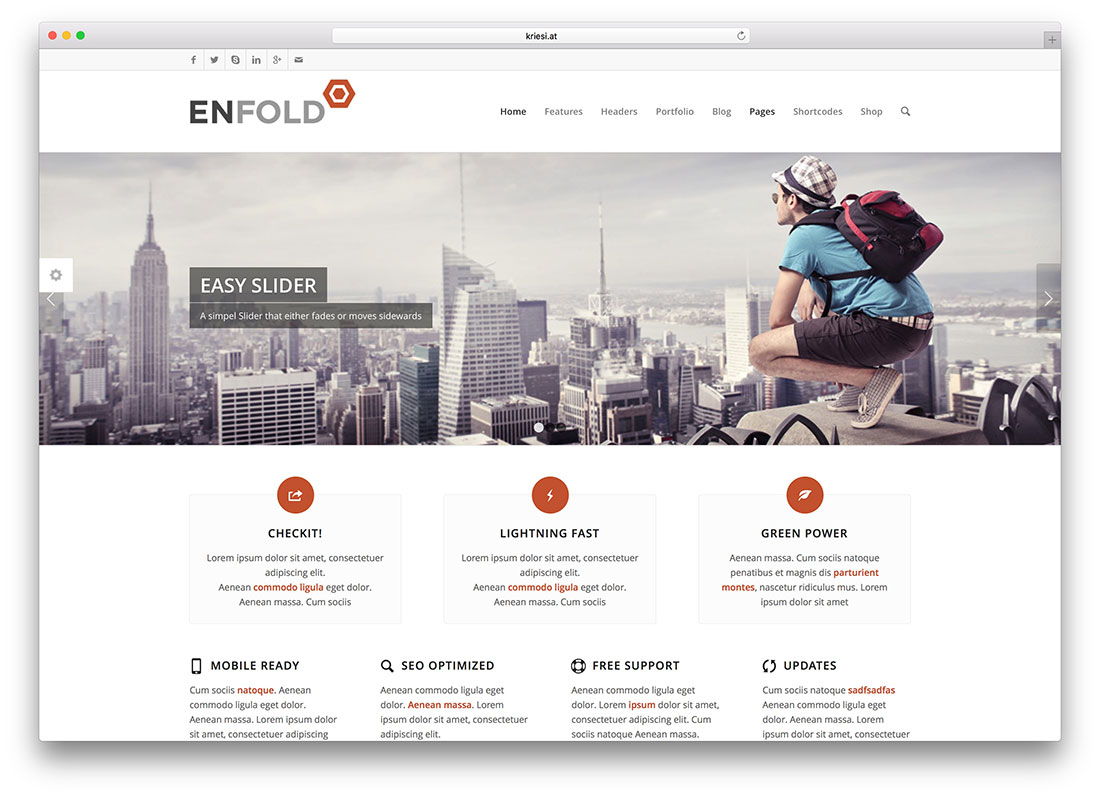 websites-using-enfold-theme